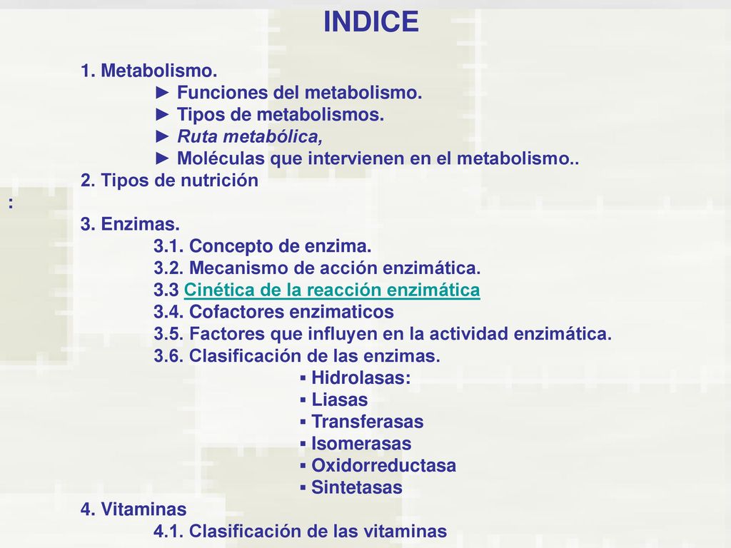 Vitaminas que intervienen en el metabolismo